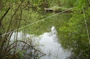 Mühlheim: Privates Grundstück mit See in Mühlheim am Main 
