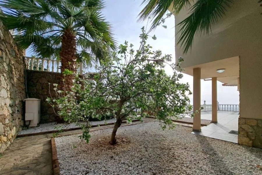 d48 d48